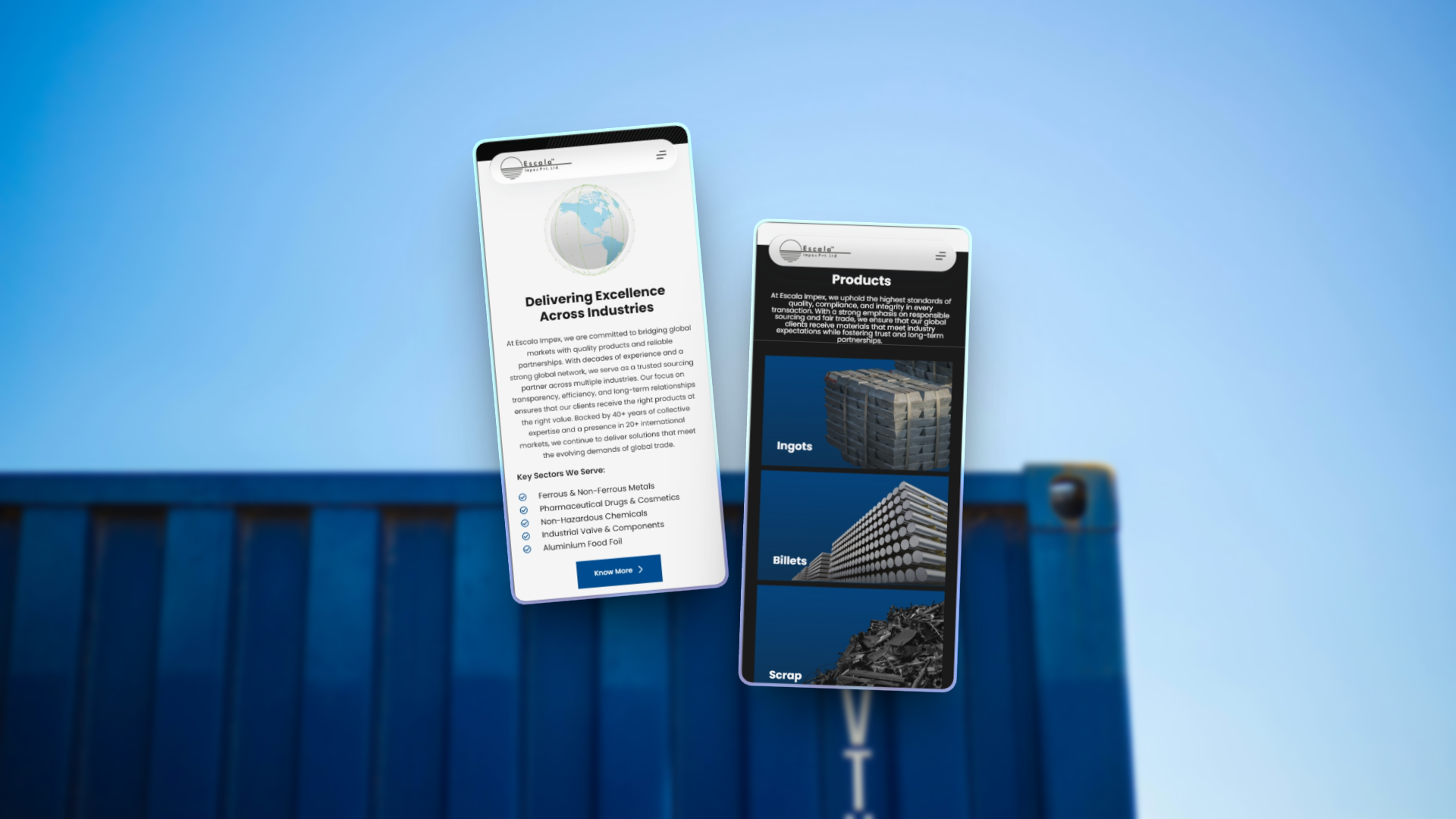 Mobile Responsive Website Design Mockup